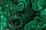 Polished Malachite Slab - Congo #229687-1